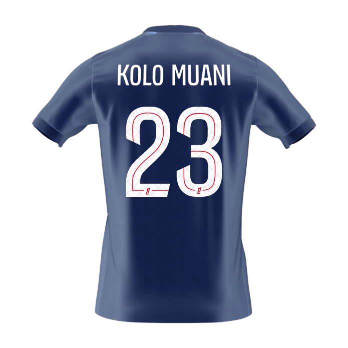 Camiseta Kolo Muani #23 PSG 2025/26 Primera Equipación - Versión Hincha (Calidad Premium) - Vista 7